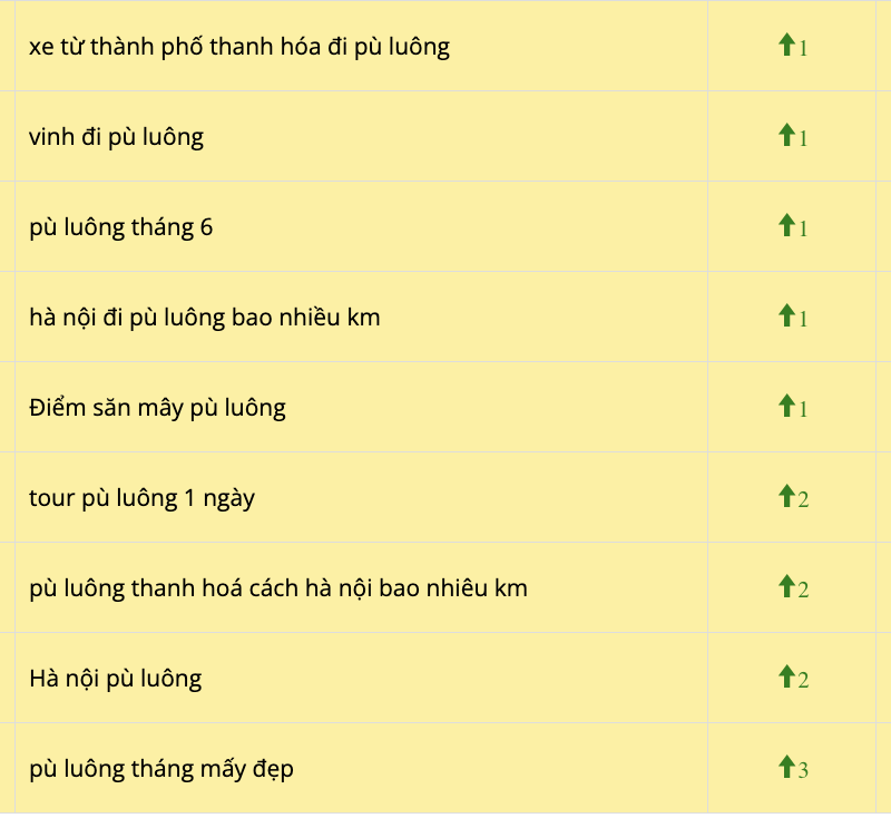 Thuê Freelancer SEO Leader